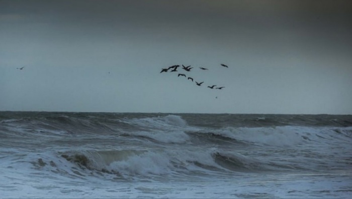    администрация Новороссийска