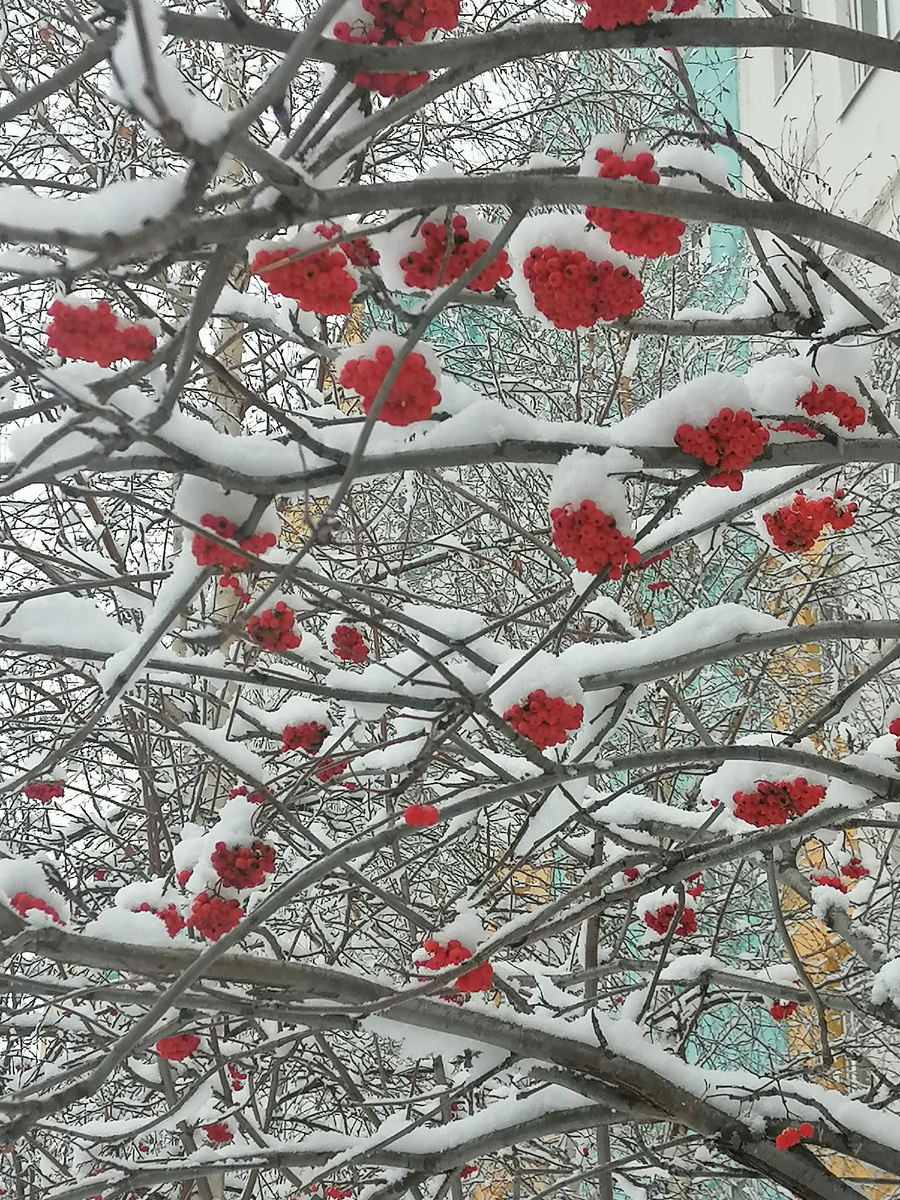 Фото автора. Ну красиво ведь?