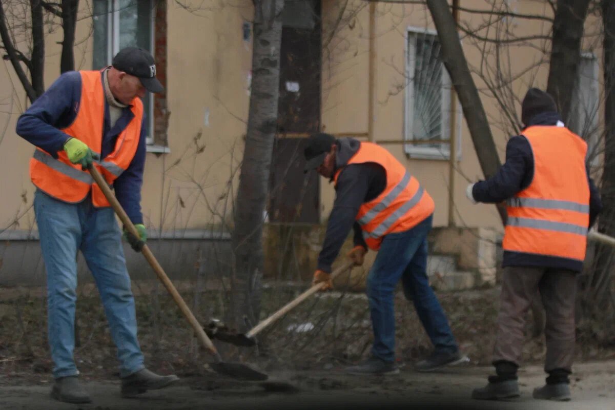 Автор фото: Павел Хацаюк / ИД «Вечерняя Казань»