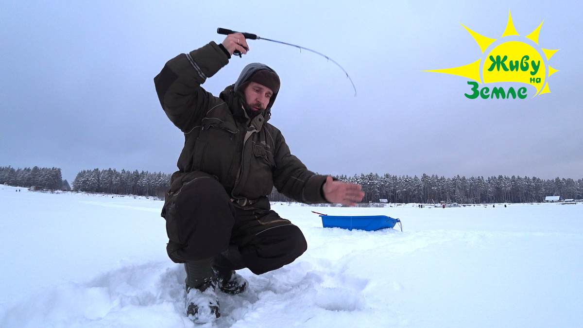 ловля окуня зимой