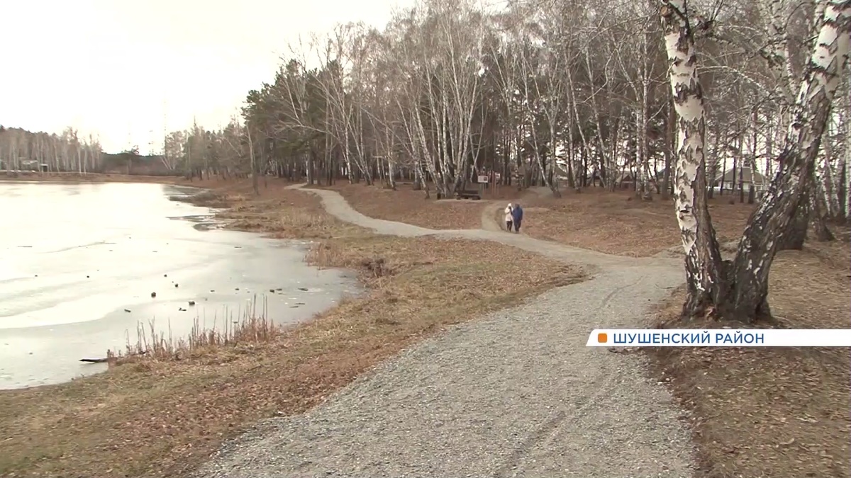     Новый экопарк обустроили в песчаном карьере посёлка Шушенское