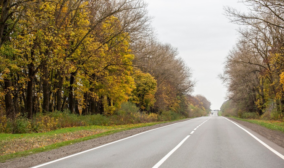    Курск награжден за реализацию проекта «Безопасные качественные дороги»
