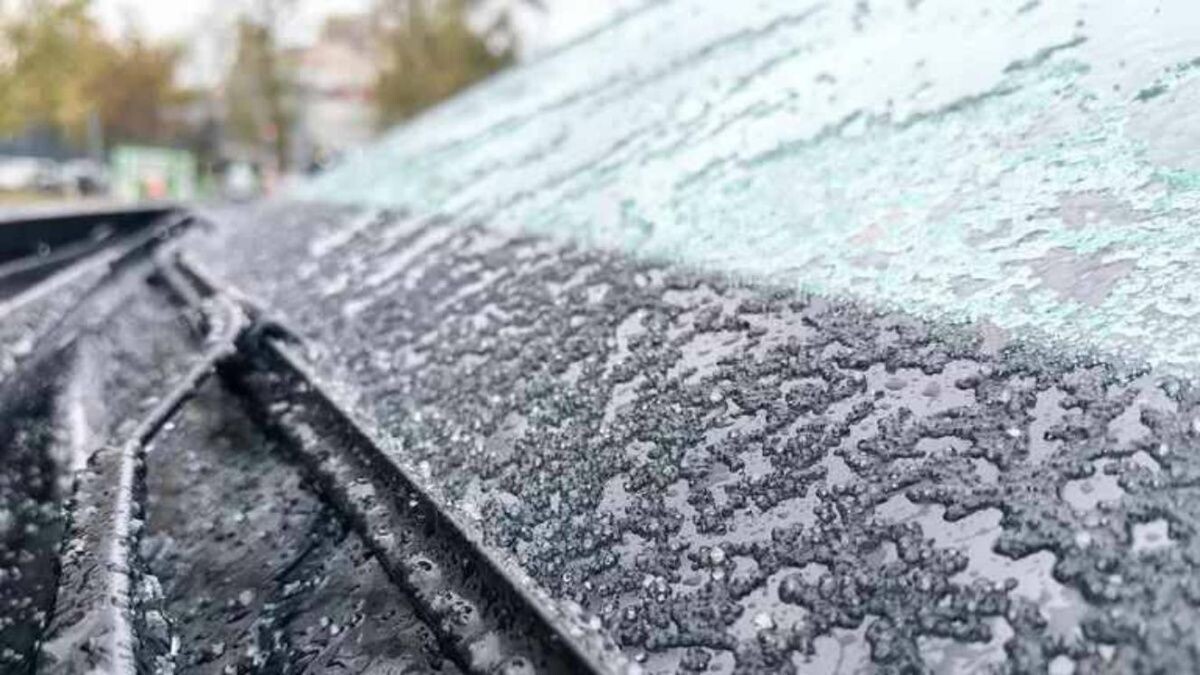     Лёд на автомобиле. Источник: ria.ru Автор фото: Василий Кузьмичёнок