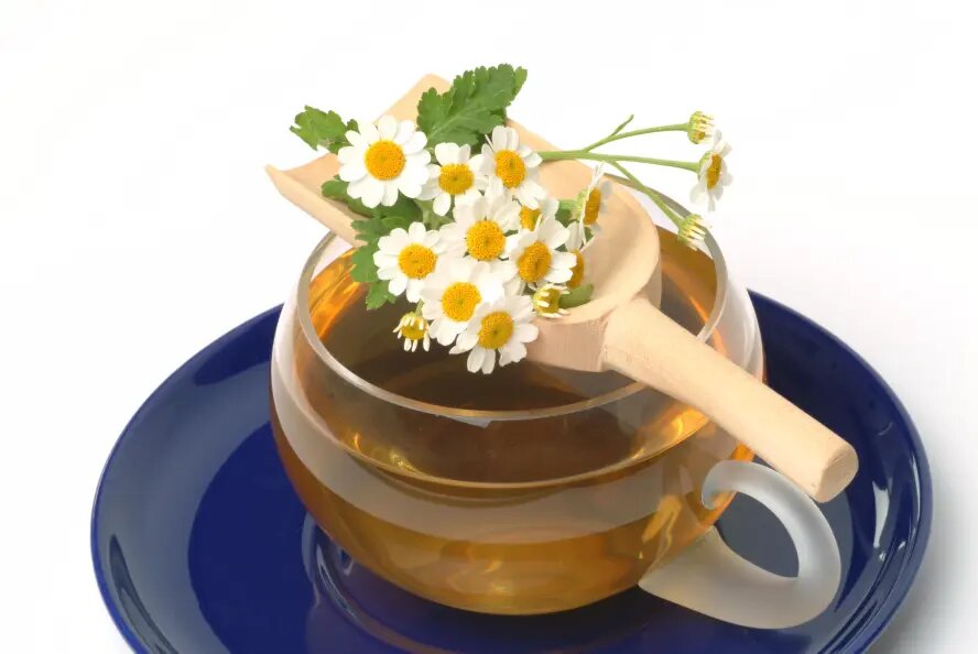    Фото: BAO/imagebroker