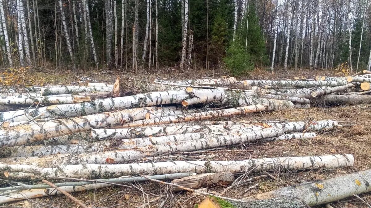     Источник: пресс-служба МВД по Удмуртии