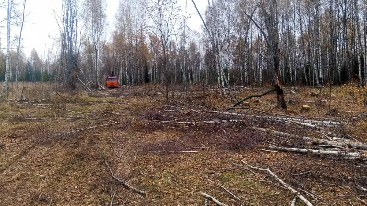     Источник: пресс-служба МВД по Удмуртии