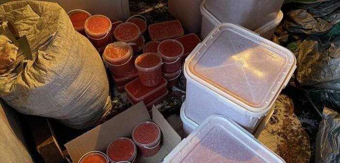 По закону всё это конфискованное богатство должно быть сожжено в печке / Фото: ПУ ФСБ России по Восточному Арктическому району