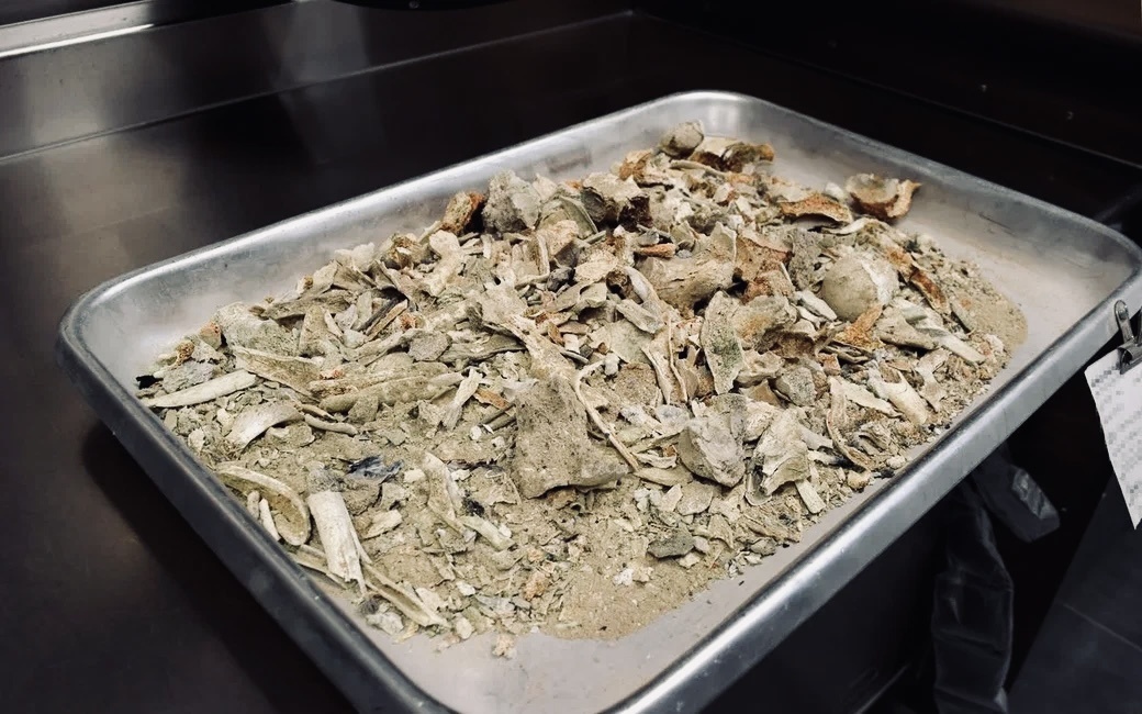 Останки костей после кремации