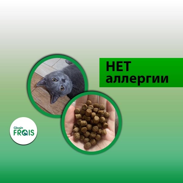 презентация кожа и ее производные