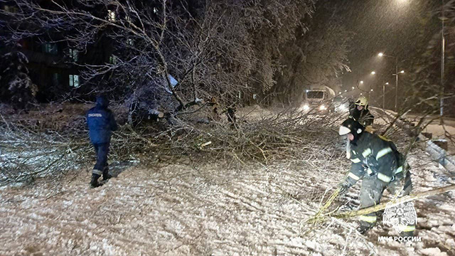 Деревья, повалившиеся в Тверской области из-за непогоды, всю ночь убирали спасатели