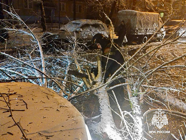 Деревья, повалившиеся в Тверской области из-за непогоды, всю ночь убирали спасатели