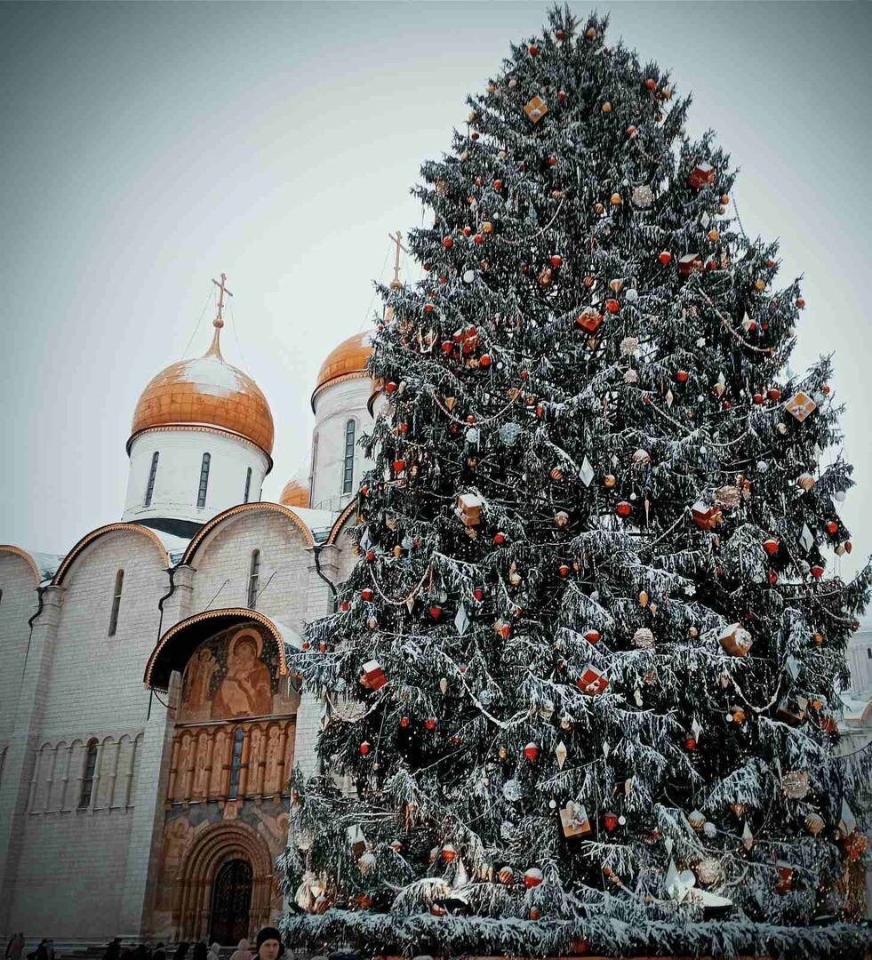 Листай галерею
