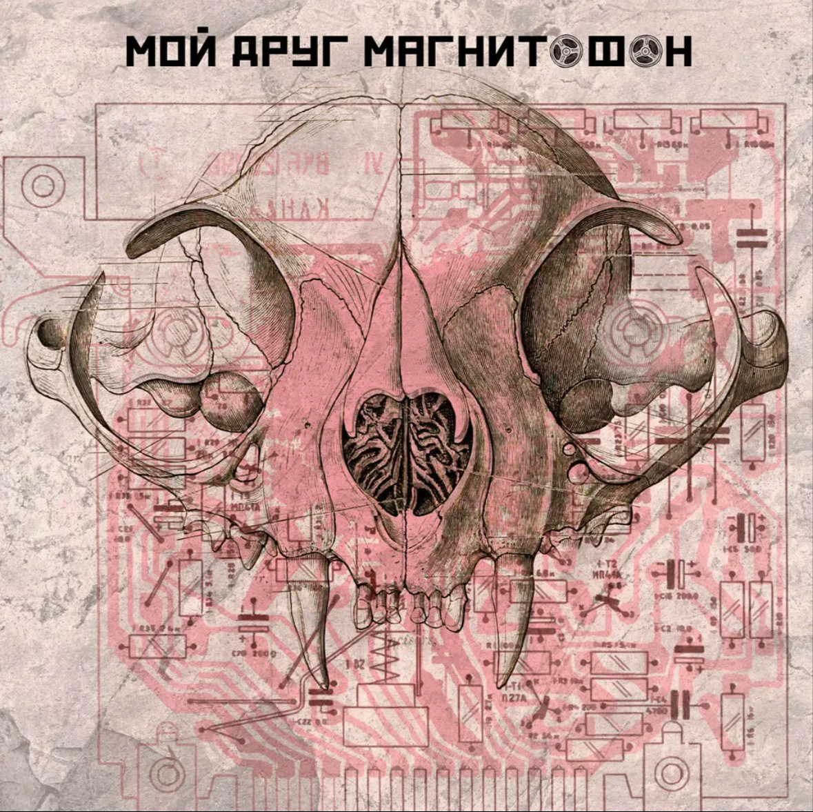Карточка альбома «мой друг магнитофон»