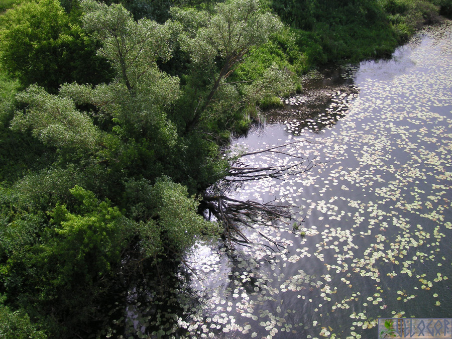Озеро Горское с моста