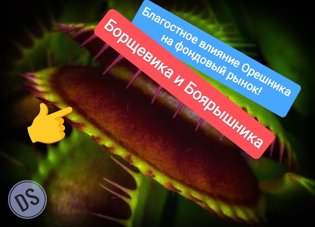 Взято из личного кабинета с целью иллюстрации