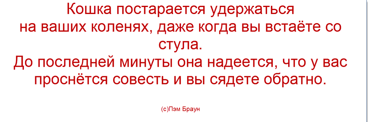 коллаж "Позитива красок"