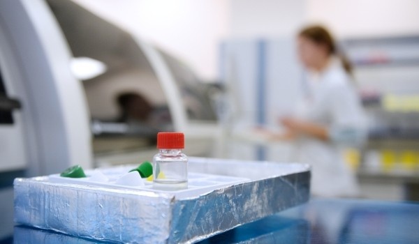 фото: РИА Новости/Кирилл Каллиников