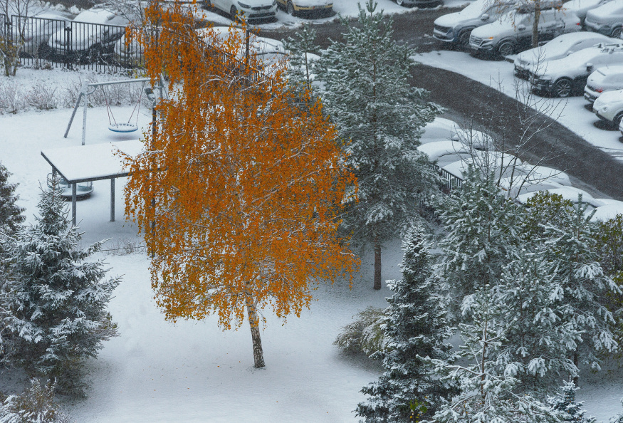    Roman Denisov/Global Look Press