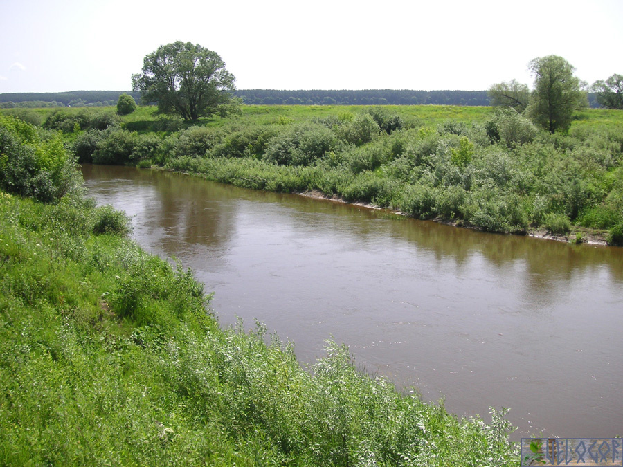 Река Жиздра недалеко от устья