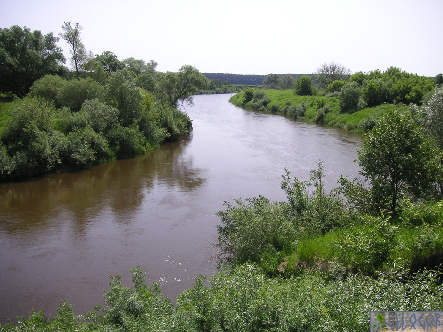 Река Жиздра недалеко от Перемышля