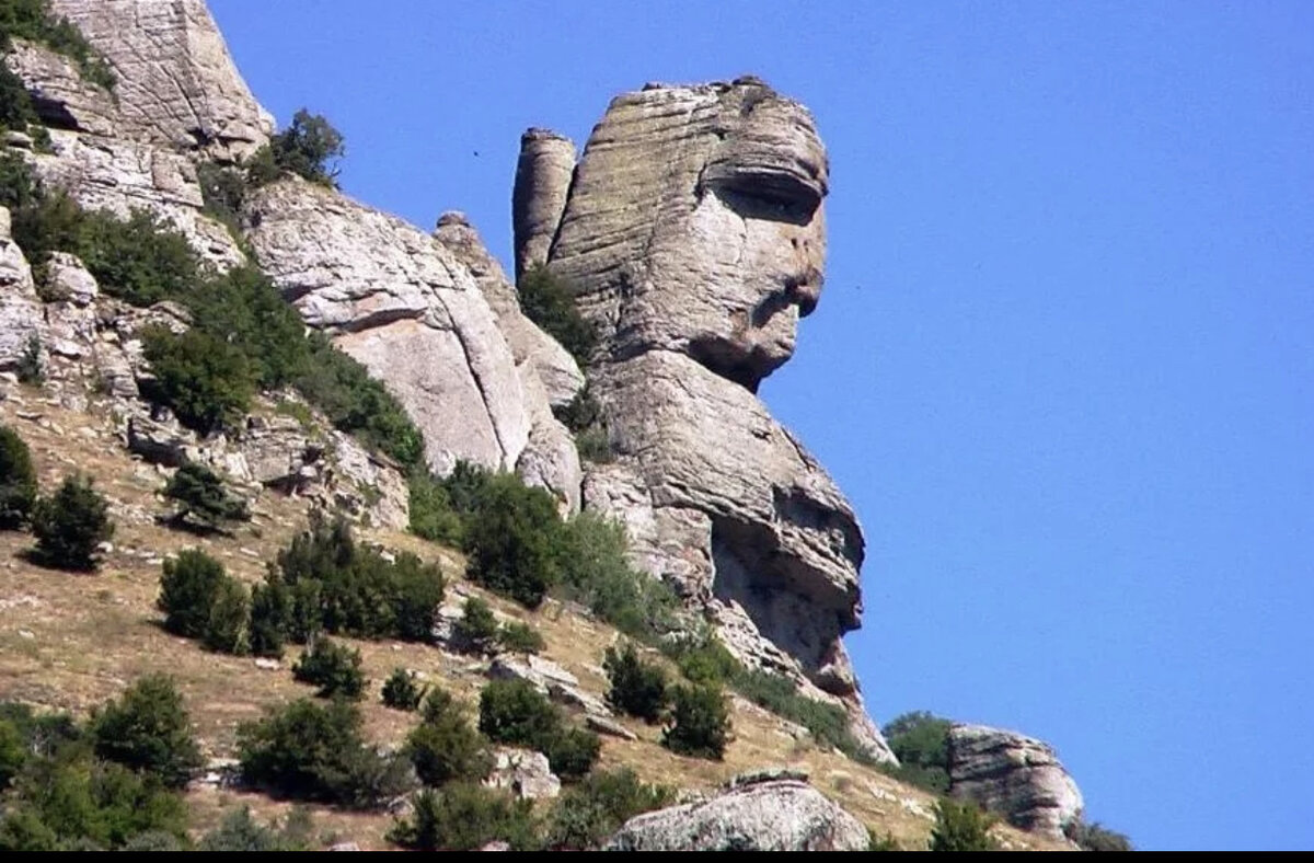 Натиформа Димерджи