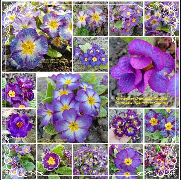  Серия Космос 