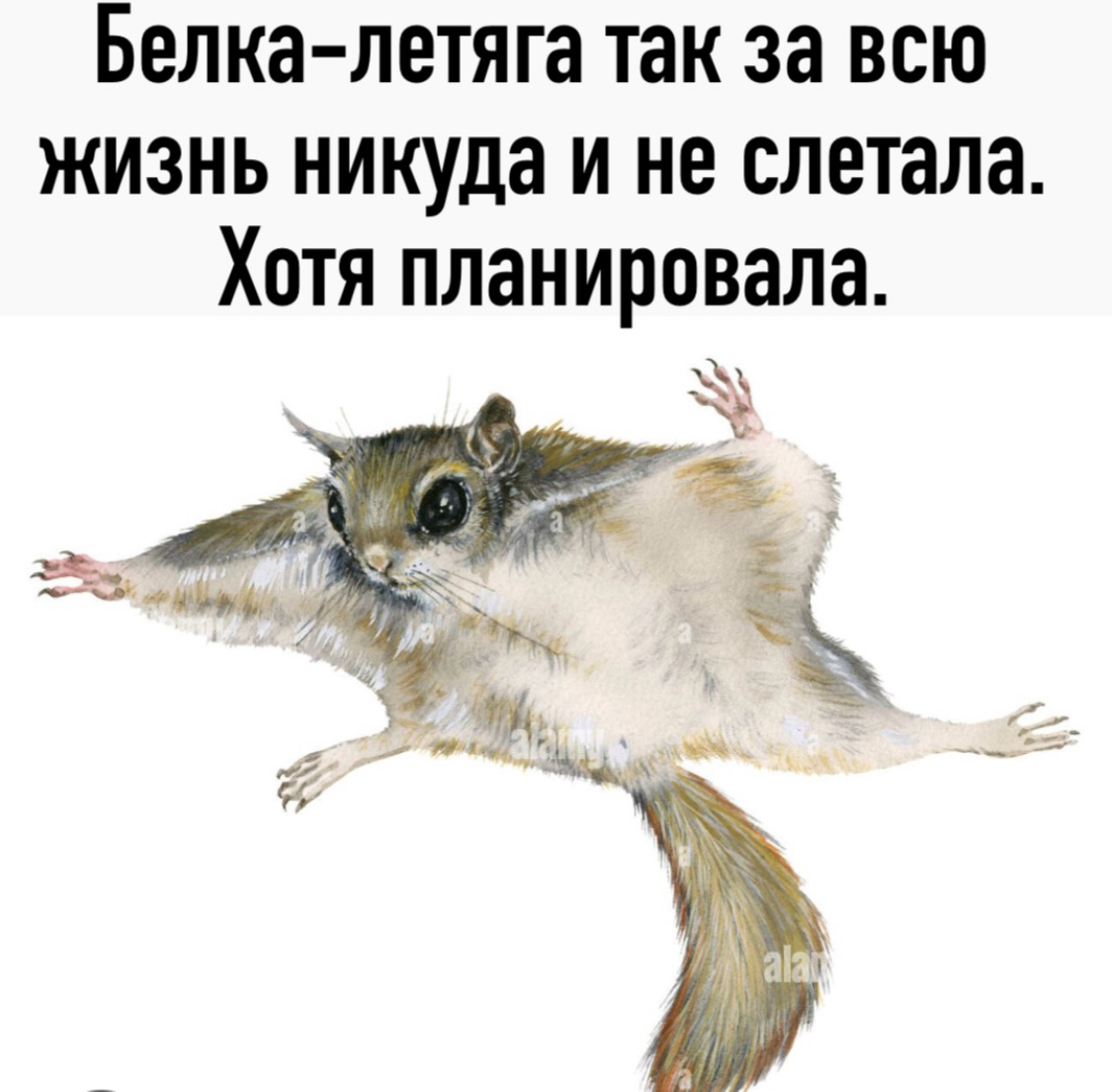 Моя картинка