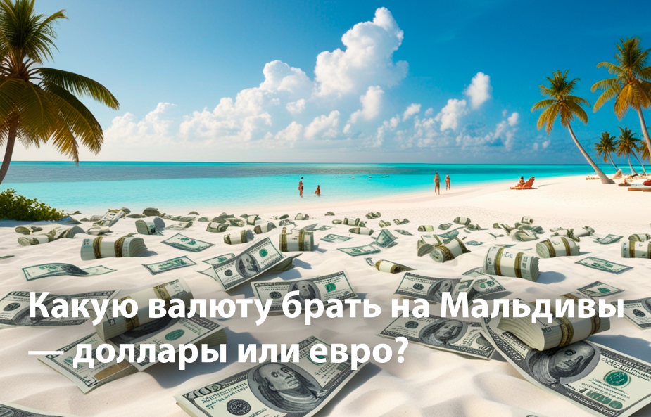 Какую валюту брать на Мальдивы — доллары или евро?