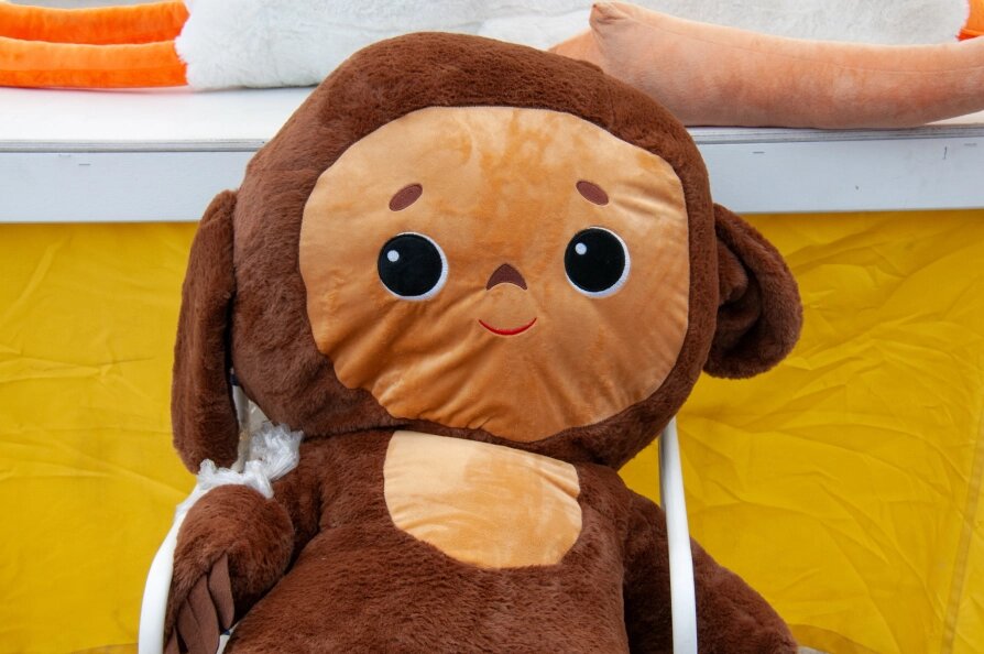    Фото: Svetlana Vozmilova/Globallookpress.