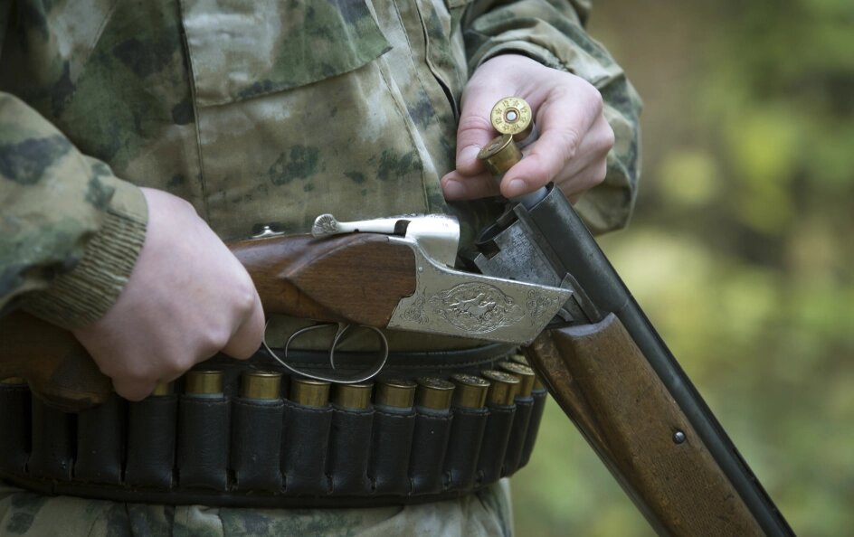    Nikolay Gyngazov/Globallookpress