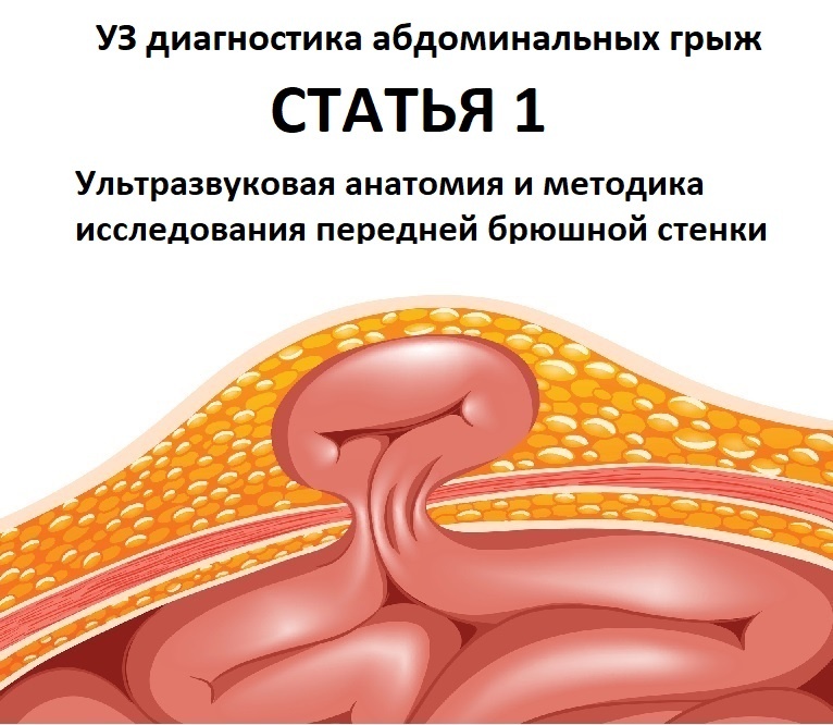 Изображение взято из свободного доступа