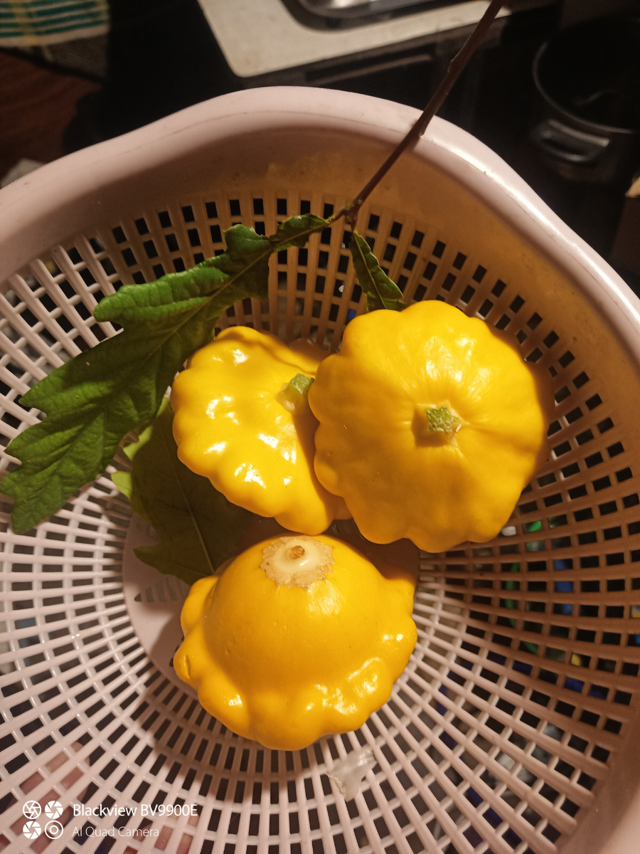 Истинные плоды