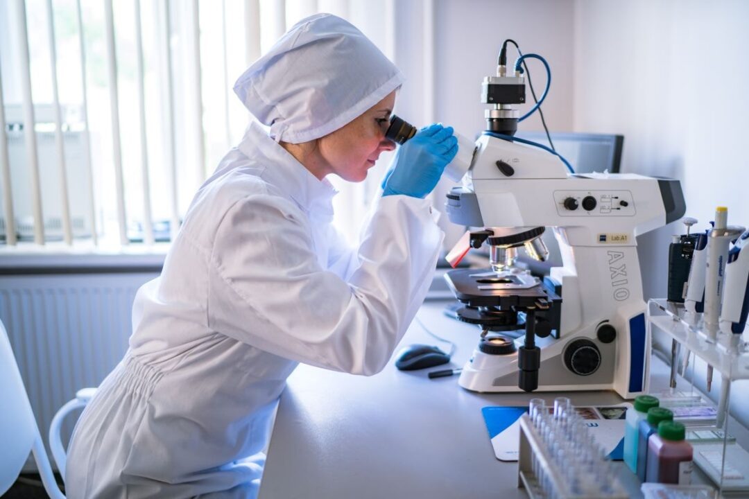 Фото: Александр Плонский / «Агроэксперт»