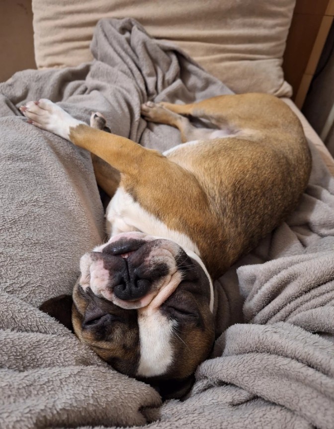 фото из фотобазы Glogin Frais