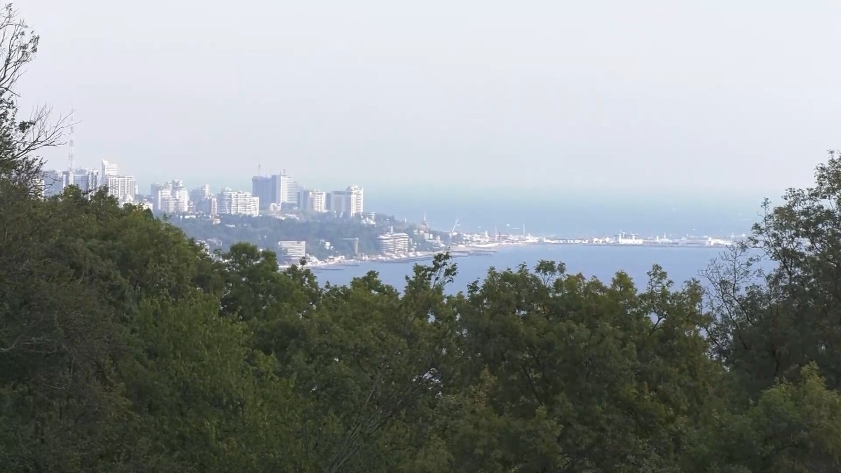    фото: Сочи 24