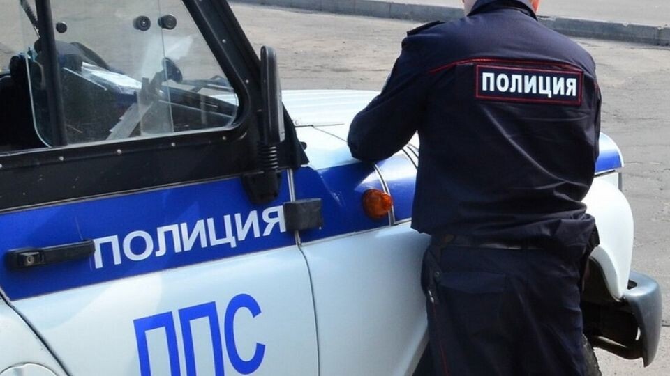    Полиция. ППС. Источник: МВД России
