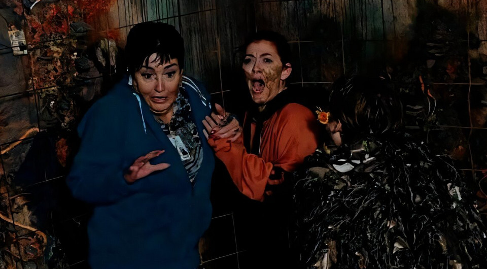   Marie Louise Bønnelykke-Behrndtz et al. / Brain, Behavior, and Immunity, 2024