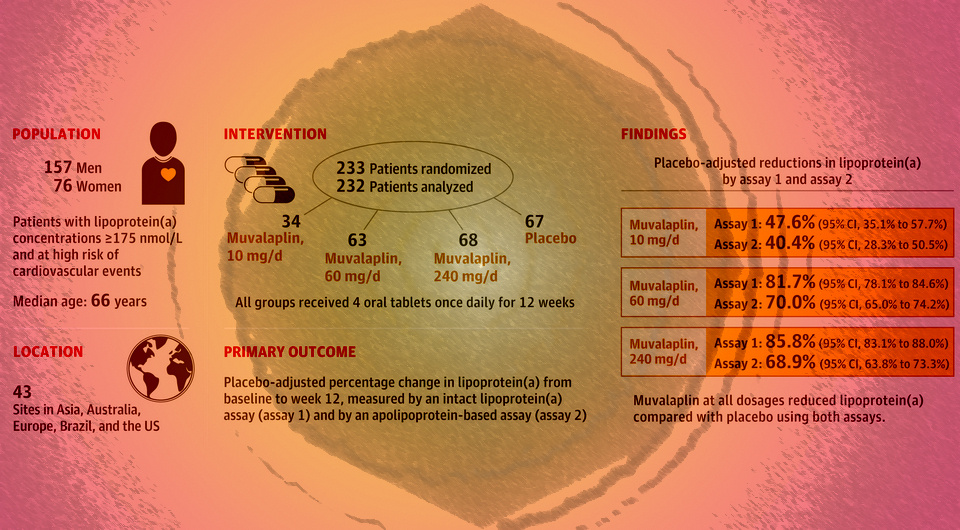   N + 1; Stephen J. Nicholls et al. / JAMA, 2024