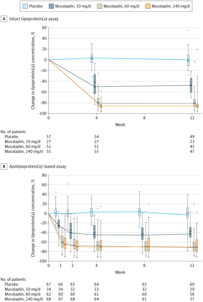   Stephen J. Nicholls et al. / JAMA, 2024