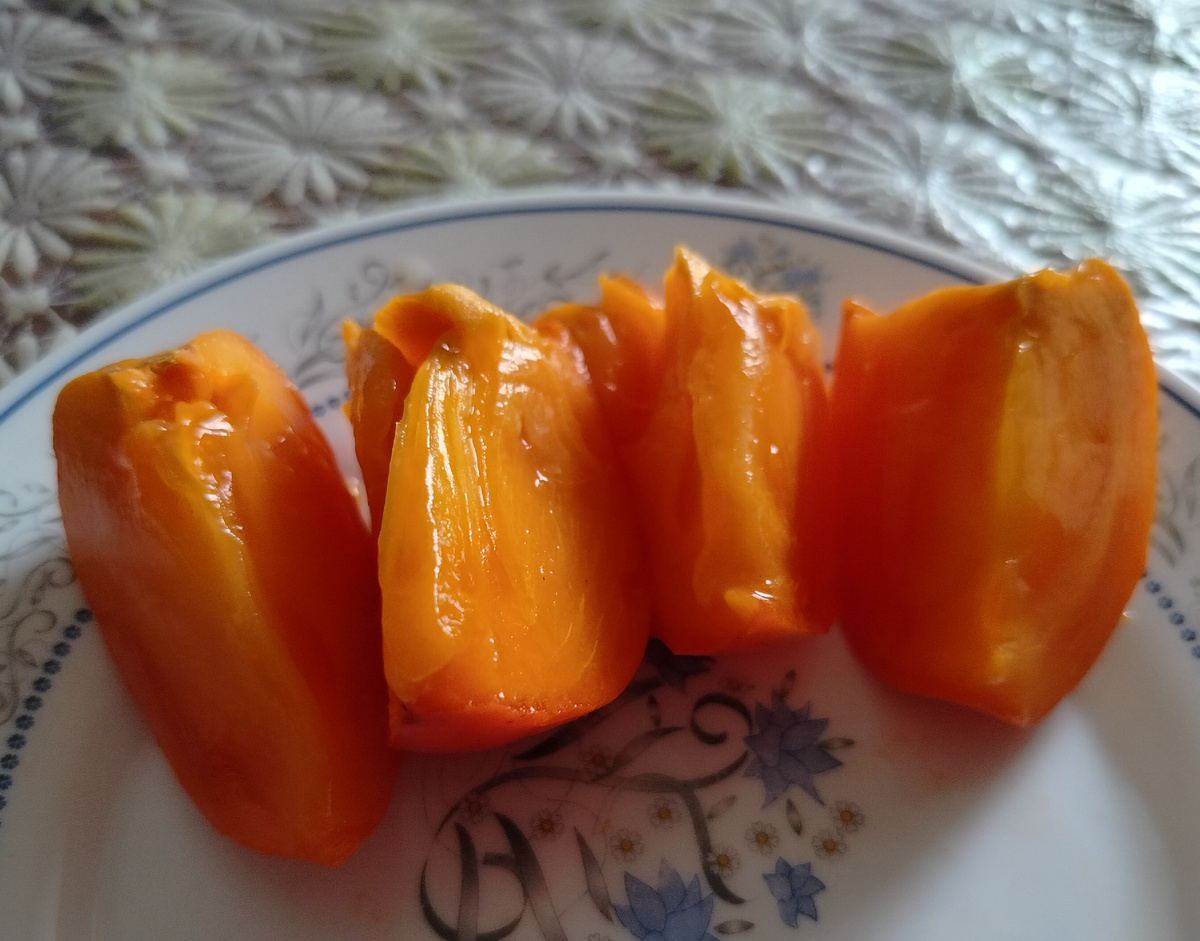 Фото сегодняшнее