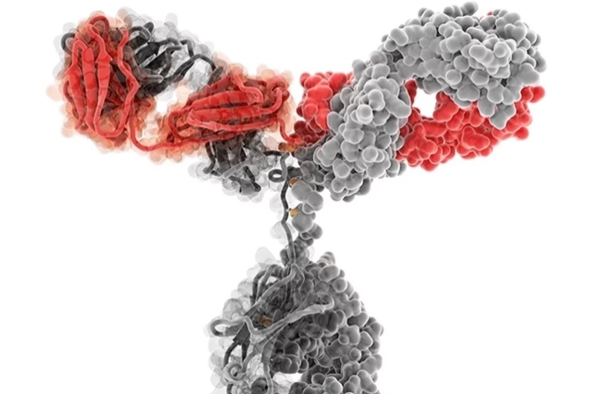    В Ростовской области не хватает иммуноглобулина для беременных