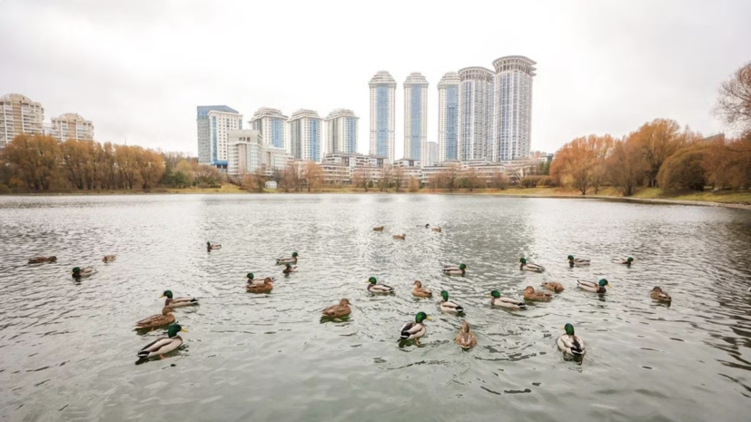    Комплекса городского хозяйства Москвы