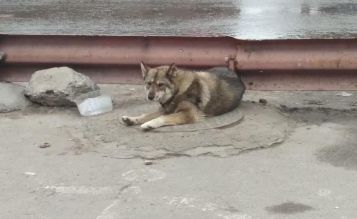    фото Курские известия