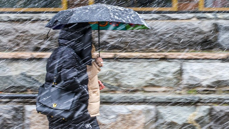 Источник: Валерий Шарифулин/ТАСС