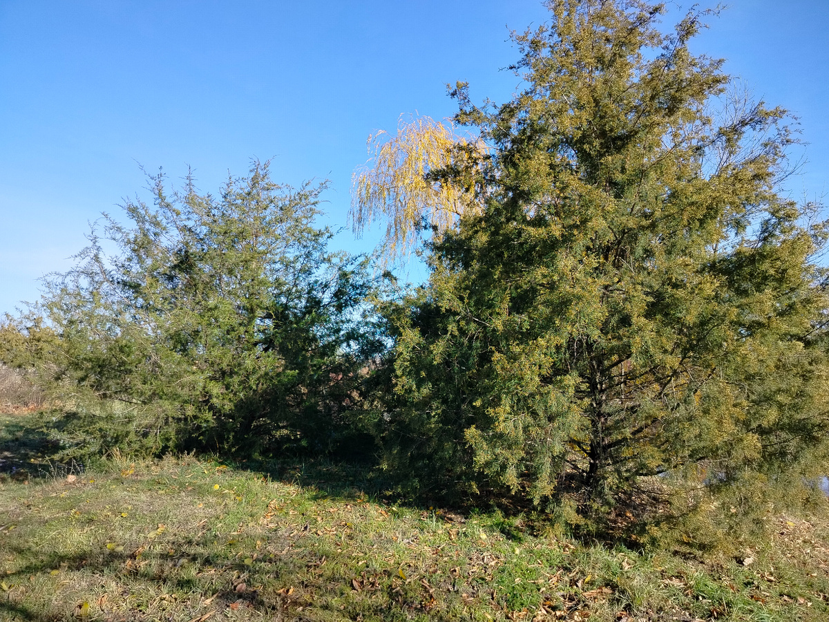 Всем привет 👋