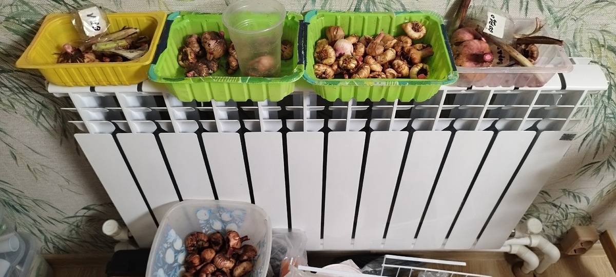 просушку устроила в мансарде на батарее.