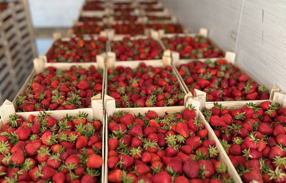 Фото: управление Россельхознадзора по Тюменской области, ЯНАО и ХМАО - Югре