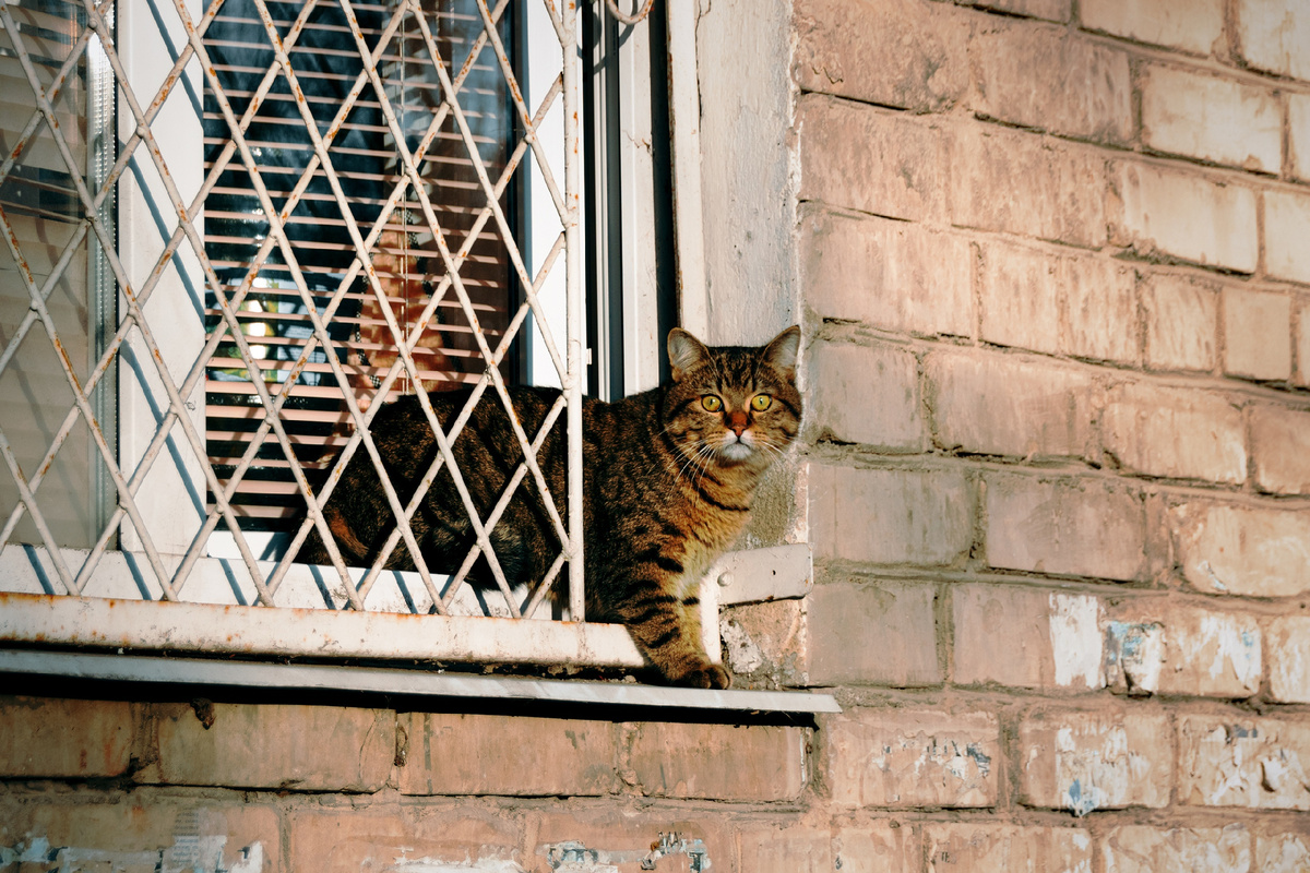 Фото: Сергей Удовиченко