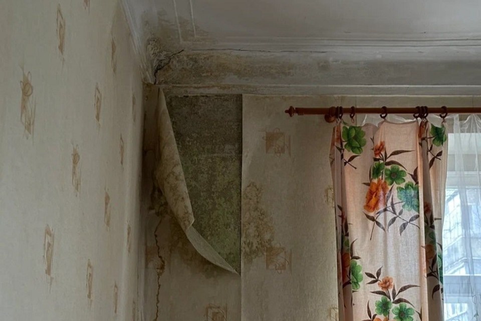 ФОТО: ОНФ по Ярославской области