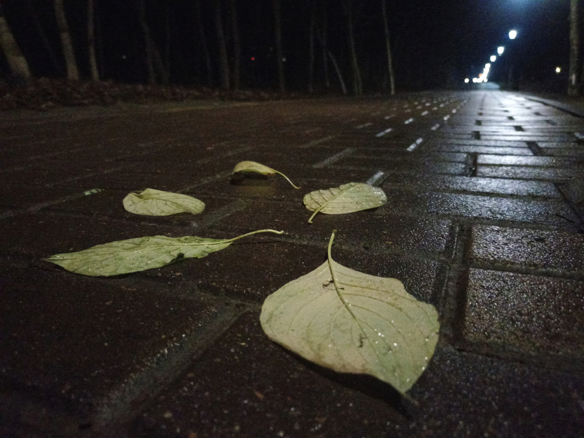 Осень, осень... Ну давай у листьев спросим... ©